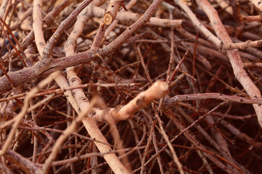 Sandalwood Vetiver Candle - KIHO NEW YORK