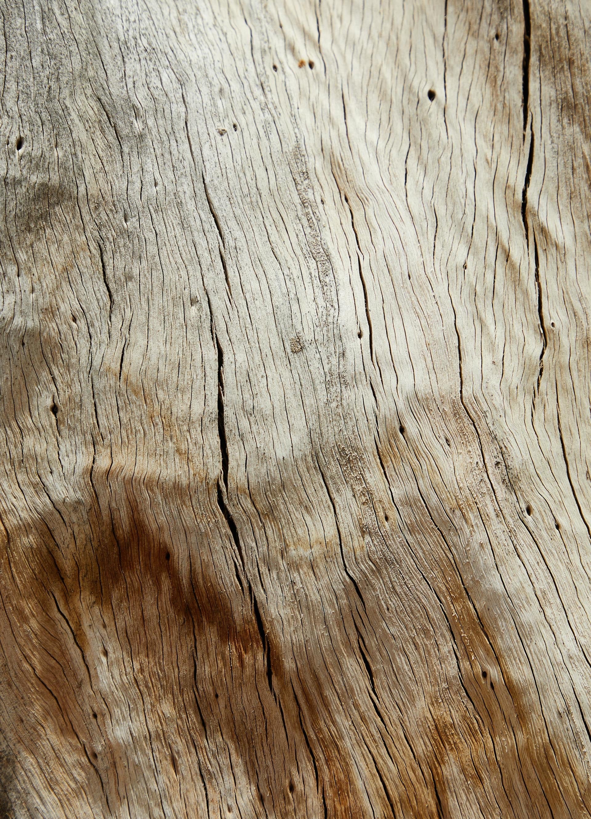 KIHO-GUAIACWOOD